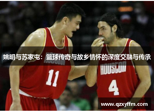 姚明与苏家屯：篮球传奇与故乡情怀的深度交融与传承