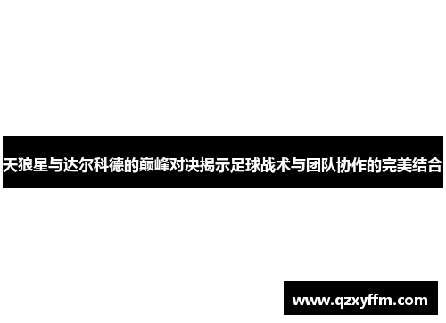 天狼星与达尔科德的巅峰对决揭示足球战术与团队协作的完美结合